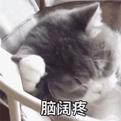 2020年可爱表情包表情包