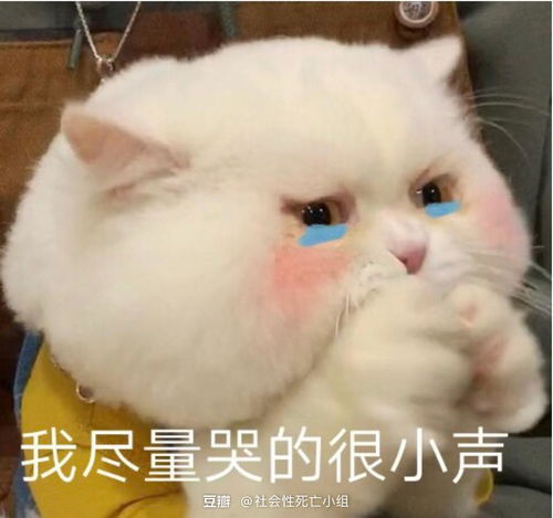 你曾经因为过于废物被你的导师拉黑过嘛
