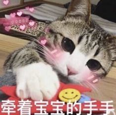 区块链公益到底是哗众取宠还是科学公益的助推器