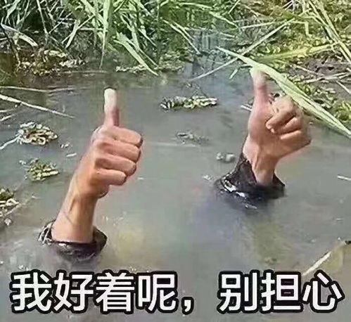 有你的照片表情包头像