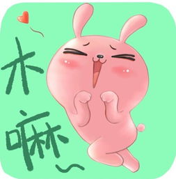 白话东北哈尔滨特服养生馆扎堆女子露肉揽客