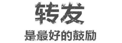 现在网上最火的小孩是谢飞机表情包有着落了