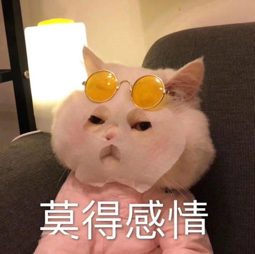 爱钓鱼的男人从不出轨看完真的笑哭了哈哈哈哈哈