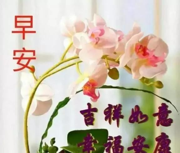四月早上好祝福语唯美图片,早晨好温馨表情,早安