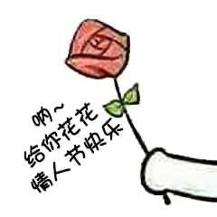 适合情人节发的表情包呐,给你花花,情人节快乐