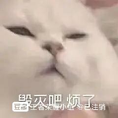 tm的烦死了表情包烦恼