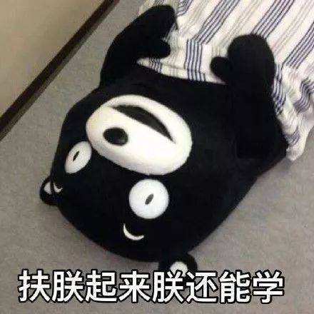 送给2020年教育学考研的小白和老白们的全程复习攻略