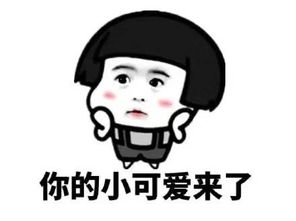 适合聊天开场的表情
