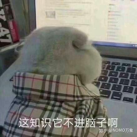 寒假到了,如何在家不被父母嫌弃