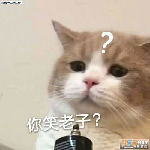 钱包又空了天线宝宝图片你笑老子猫咪表情包下载乐游网游戏下载