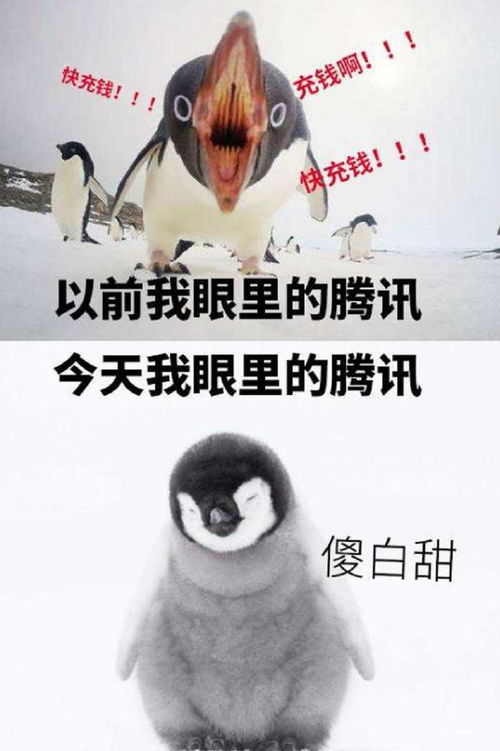 年度互联网名场面腾讯x老干妈事件频反转,蚂蚁给企鹅上课