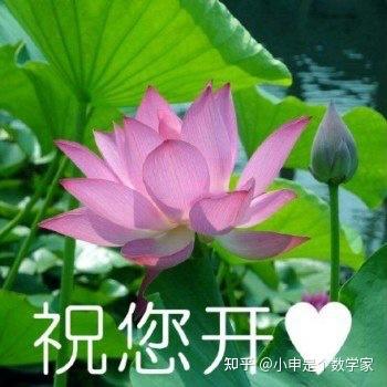 情侣之间应该每天都联系吗