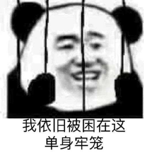 搞笑单身狗表情包你有对象,老子看不起你,反正爱情不都是那样