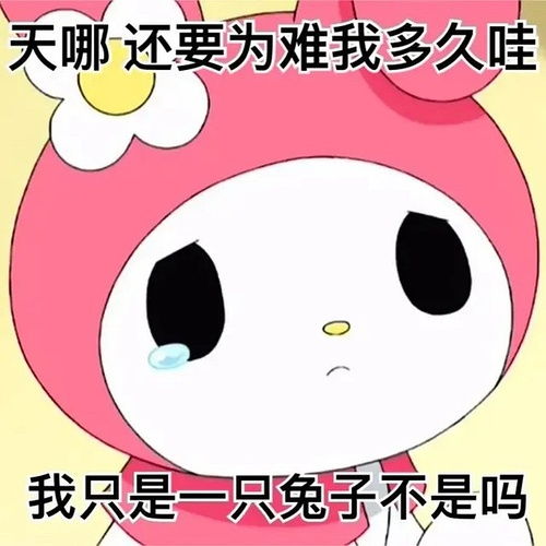 我的收藏