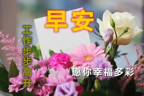 下午好表情图片大全最美问候语动态图片,最新漂亮下午好表情动态图