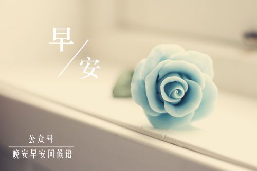 早安问候语每日更新微信早安问候语
