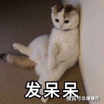 热门表情包图片微信聊天不要问我在干嘛,问就转发给你