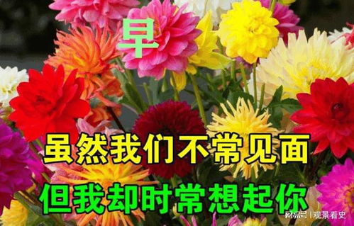 朋友圈早安励志心语,想和你说的12句正能量的话