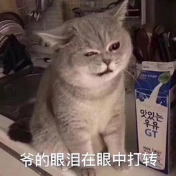 特务私藏真爱敏感肌的救命养肤型粉底液大公开