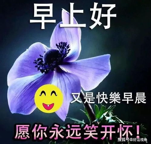 温馨早上好问候表情包图片带字,阳光早安问候祝福语图片