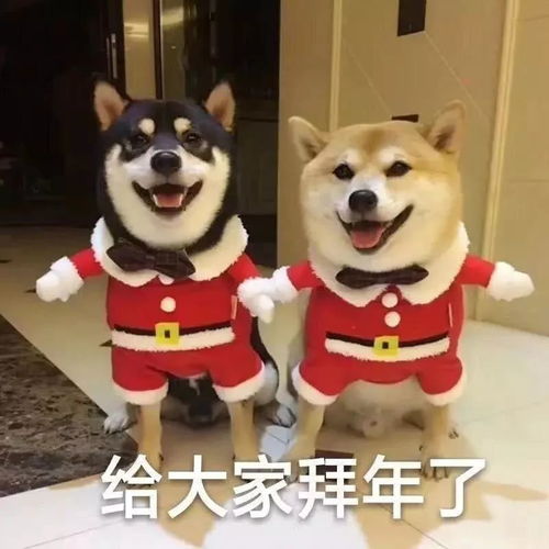 热门表情包2020望自己稳重成熟填满善良优秀