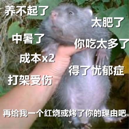 g胖又亏了v社因奇葩理由被罚款117万,steam退款有问题