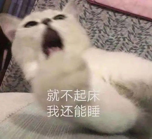 寒假攻略当我妈又嫌弃在家的我时