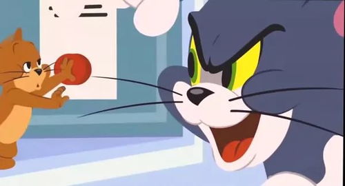 最受欢迎的猫咪角色票选第一名是只肥猫