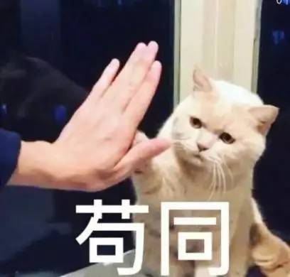 利润高达30,卖一箱能赚两箱,这样的饮料你感兴趣吗