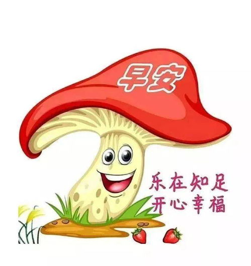 朋友圈群发早上好暖心问候语短信,非常好看的早上好动态表情图片分享