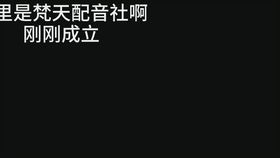 海盗团的表情包,安哥日常混进