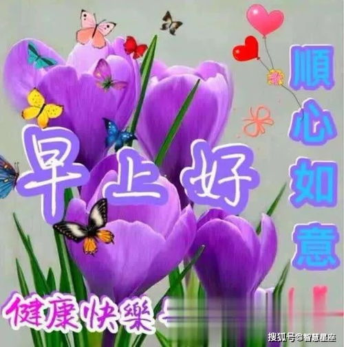 7月6日问候大家早上好动图表情美女2021,清晨祝福早上好问候语温馨语录