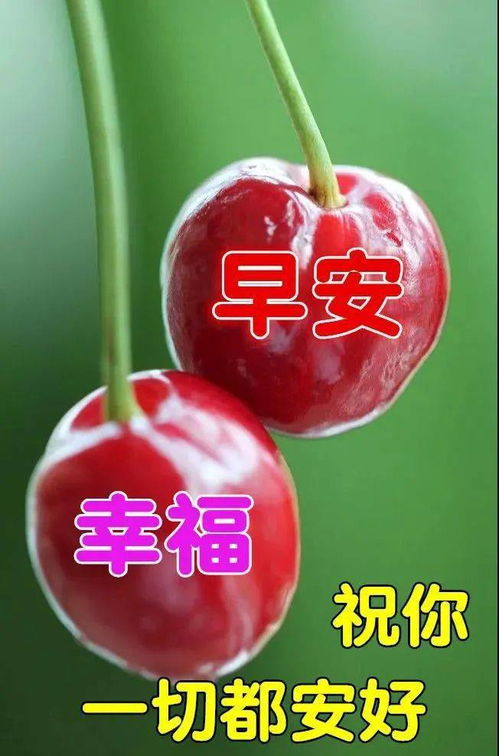 冬天早上好问候图片带字,创意好看的冬天早安问候祝福动态表情图片