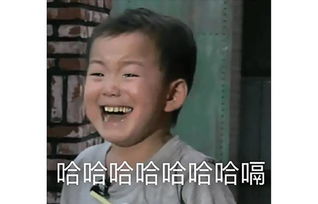 这些年承包了你表情包半壁江山的小萌娃们