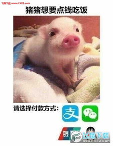 要钱专用表情包图片下载要钱表情包下载飞翔下载