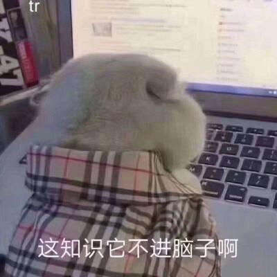 iry分型肌肤祛痘护理套装女轻效果如何