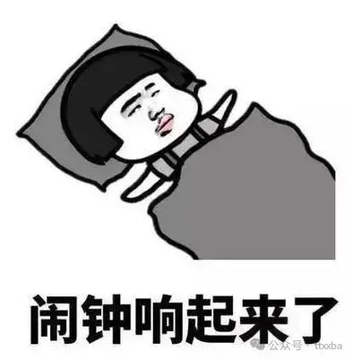 叫人起床的表情包萌猪臭居居