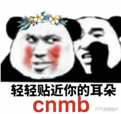 偷我表情包沙雕