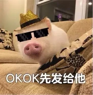 可爱的我又来了