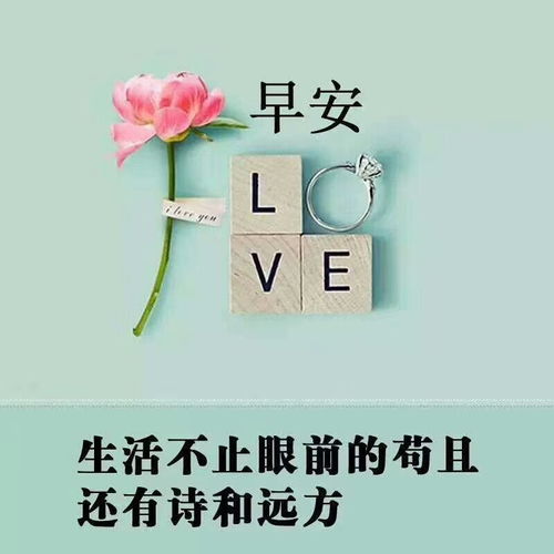 恰当的服装恰当的衣料