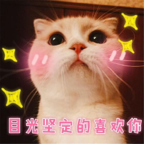 表情撩小姐姐表情包小奶猫在吗爱情魔法发动,跟我原地结婚腾讯网表情
