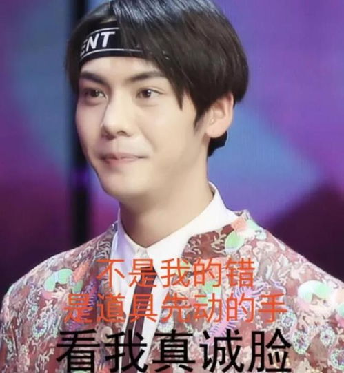 陈伟霆,这只大可爱有点意思