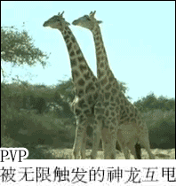 网易阴阳师表情包来袭这游戏根本没有ssr