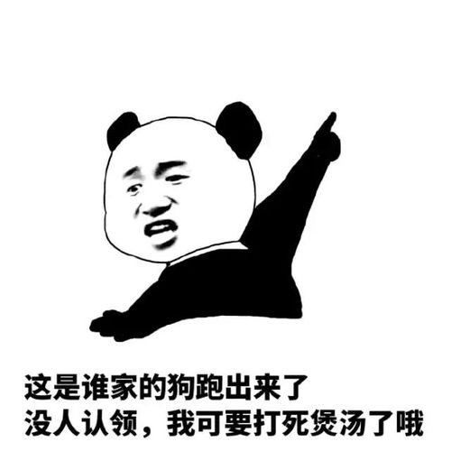 很容易被打的表情包每日表情包九
