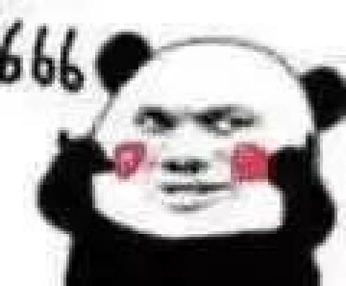 哈哈哈被爆红的天桥乐队笑死表情包也能这样玩