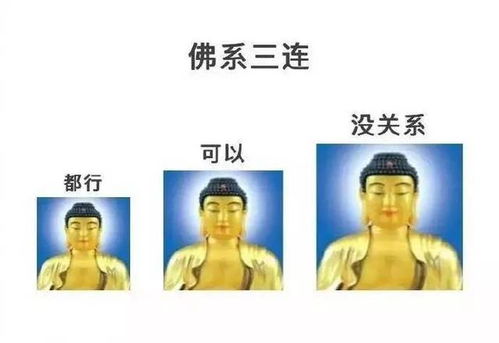 佛系的人生不需要解释,只需要三个关键词
