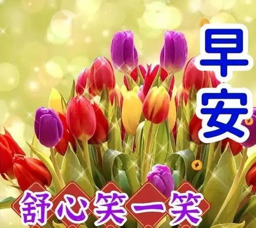 打牌动态表情包问候