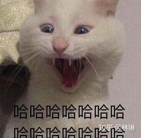 上了她表情包哈哈哈