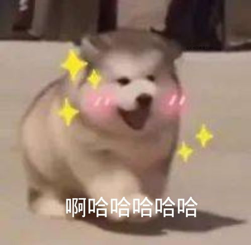 最近流行的微信表情包歪歪