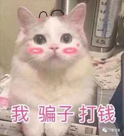我范冰冰打钱